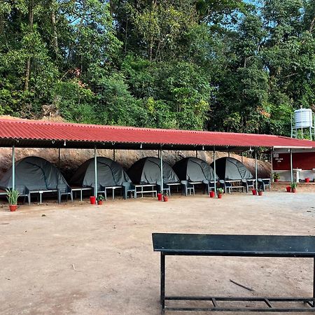 Отель The Nest Bettathur Coorg Campsite Мадикери Экстерьер фото